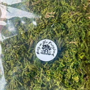 Natural Dried Forest Moss: Fairy Garden Miniature Creations