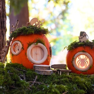 DIY Pumpkin Fairy House Kit