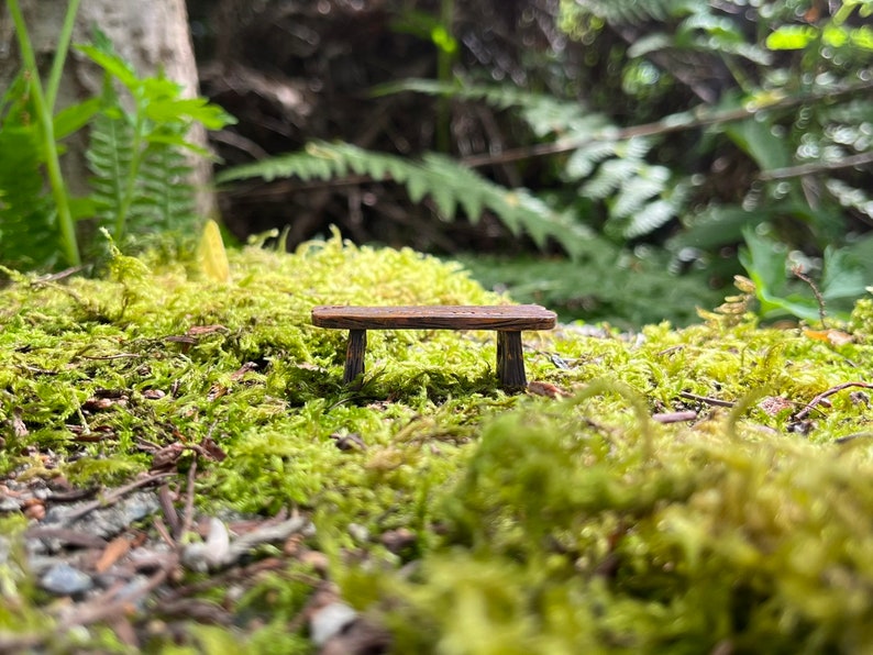 May include: A miniature wooden bench sits on a bed of green moss. The bench is made of dark brown wood and has a simple design.