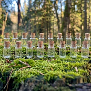 Set of 20 Enchanted Transparent Tiny Glass Bottles
