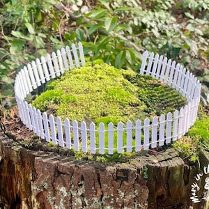 Small Garden Fence 35