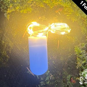 Fairy Lights 10ft - Warm White