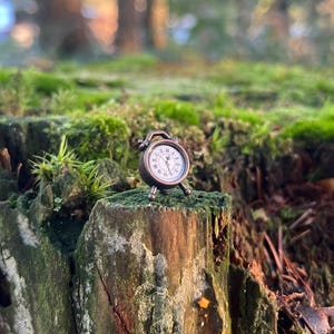 Enchanted Bronze Alarm Clock