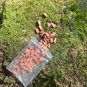 May include: A clear plastic bag filled with small, reddish-brown miniature bricks, scattered on a bed of vibrant green moss. Some bricks are outside the bag. The scene is set outdoors, with natural light.