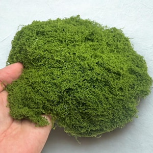 May include: A large, vibrant green clump of artificial moss. The moss has a dense, textured appearance, with many small, individual strands creating a full, natural look. The moss is held in a hand, showing its size and texture.