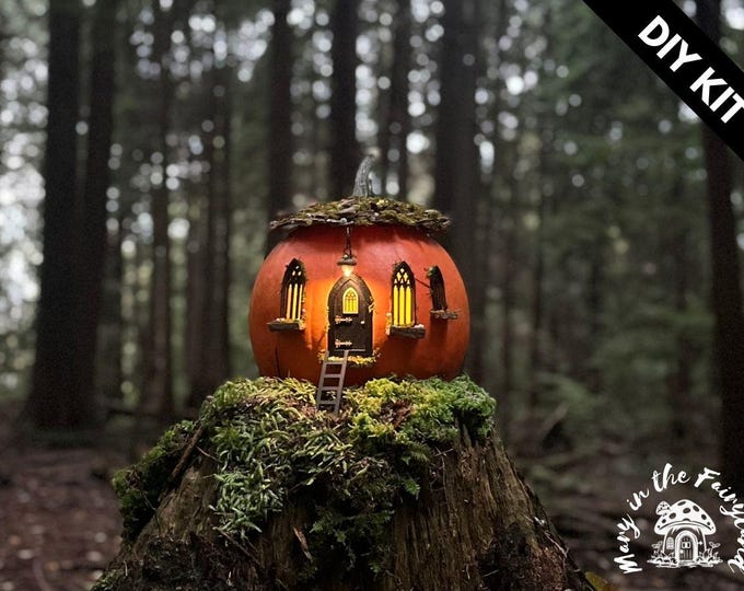 DIY Pumpkin Fairy House Kit Create a Magical Home - Etsy