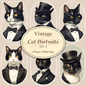 Vintage Cat Junk Journal, Printable Digital Scrapbook Pages, Junk Journal Supplies, Collage Sheets, Cat Lovers, Ephemera, Printable
