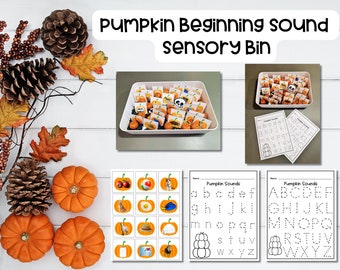 Fall Preschool Beginning Sound Sensory Bin/ Worksheet