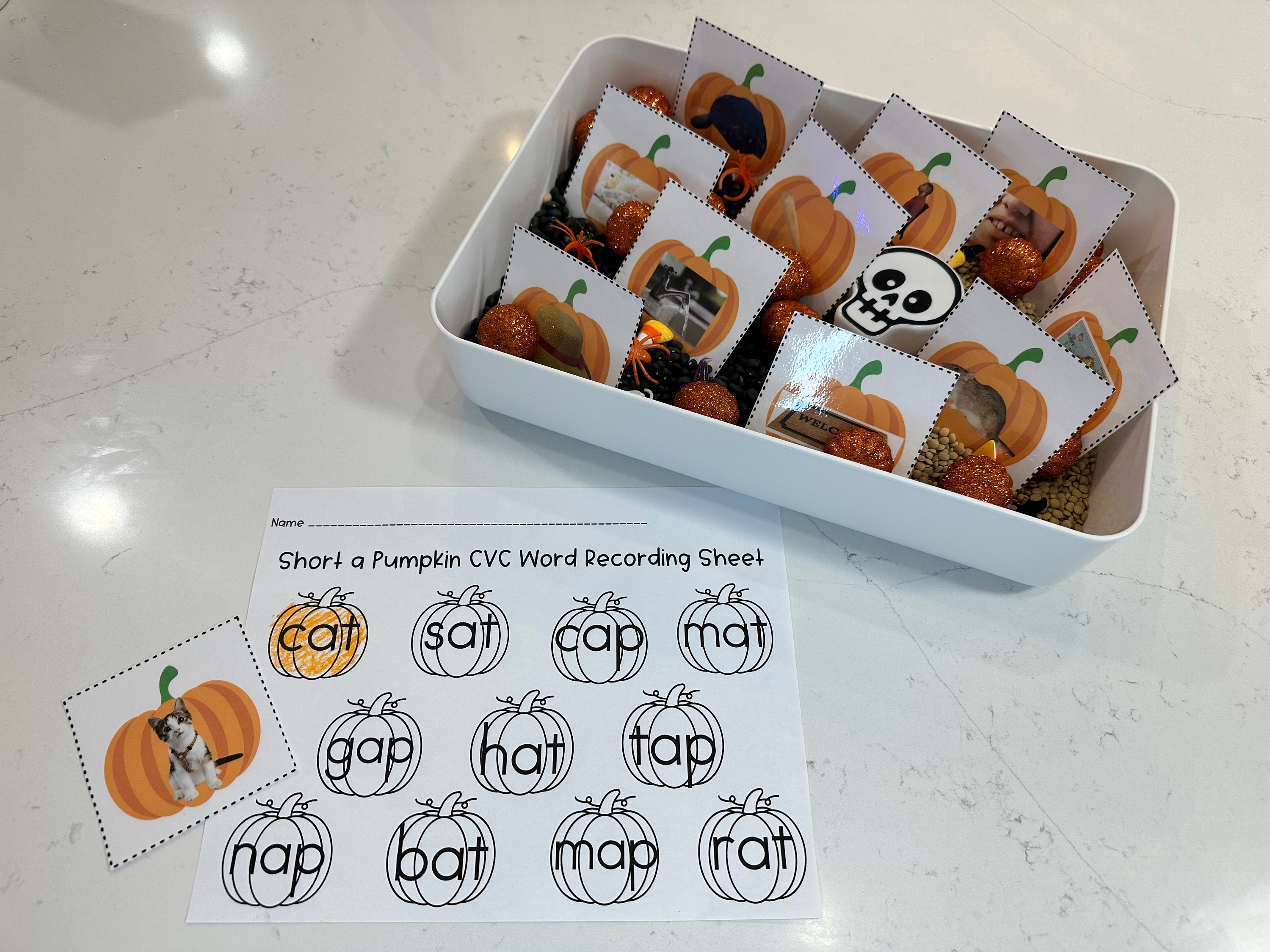 Fall Short a Words CVC Sensory Bin Cards Etsy