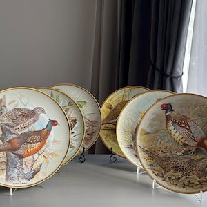 Könnte beinhalten: Eine Sammlung dekorativer Teller mit detaillierten Illustrationen von Fasane in verschiedenen natürlichen Umgebungen. Jeder Teller hat einen goldenen Rand. Die Teller werden auf einer weißen Oberfläche präsentiert. Die Teller zeigen die Vögel in ihrem Lebensraum.