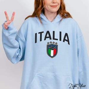 Italy Flag Travel Hoodie, Italy Trip Sweatshirt, Italian Flag Hooded Pullover, Italian Pride Gift, Ancestry Travel Hoodie, Italy Souvenir