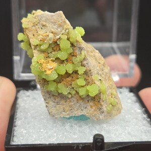 May include: A mineral specimen featuring a light brown rock with clusters of small, bright green crystals. The rock is displayed in a black plastic case with a white, textured interior. The crystals have a rounded, clustered appearance.