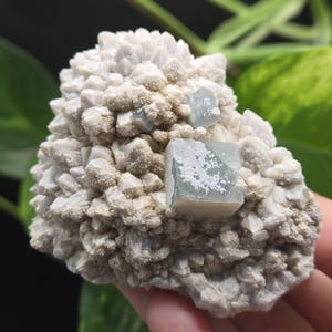 Morandi fluorite - Etsy 日本