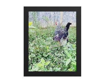 Wyandotte Garden Poster