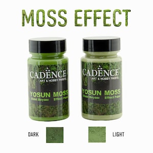 May include: Two jars of Cadence Art & Hobby Paints, labelled "Yosun Moss Effect Paint." One jar is dark green, the other is light green. The text "MOSS EFFECT" is above the jars. Below are colour swatches labelled "DARK" and "LIGHT."
