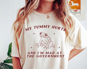 Mein Bauch tut weh, ich bin wütend auf Regierung Komfort Farben Shirt Meme T-shirt Meme Top Dummes Shirt Mein Bauch tut weh Tshirt IBS Bauchschmerzen lustiges Shirt