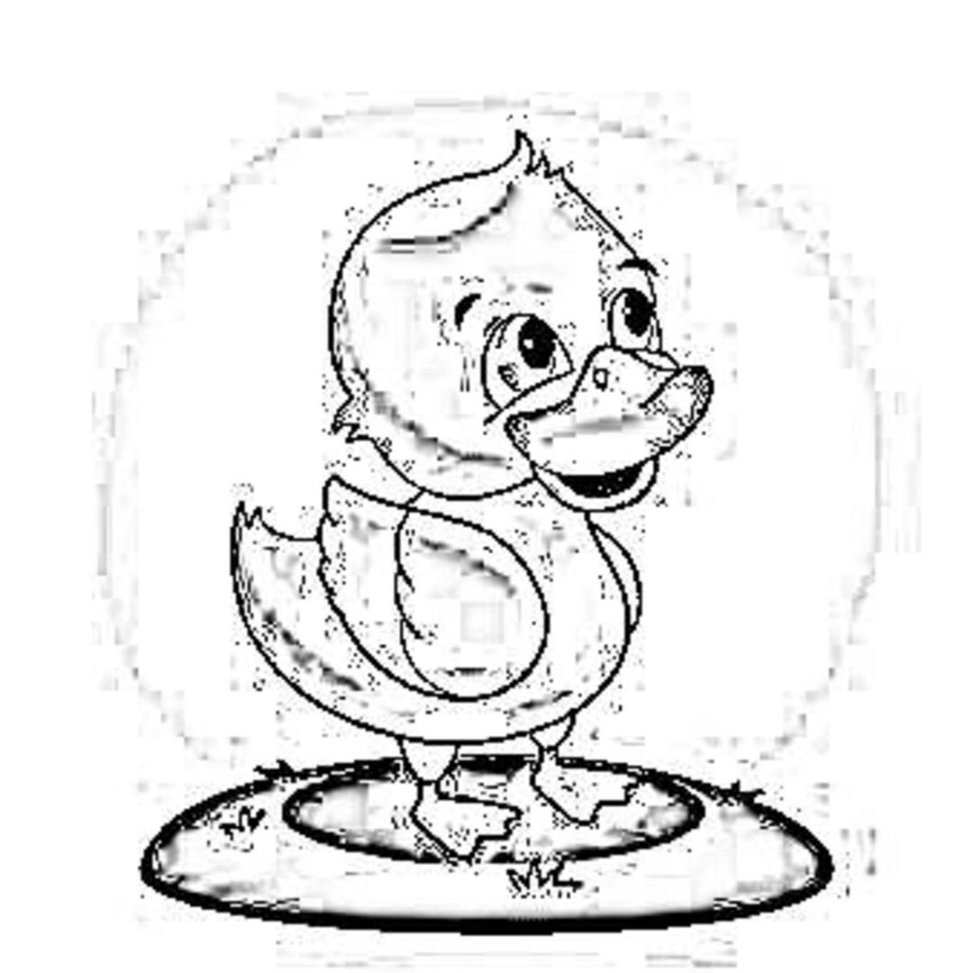 Digital Art of Chicken/ Coloring Page/ Digital Drawing/ Etsy