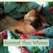 SurvivalthruWhimsy