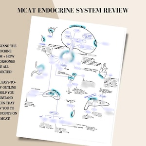 May include: A hand-drawn diagram outlining the endocrine system, with labels for the different glands and hormones. The diagram is in black and blue ink on white paper. The text "MCAT ENDOCRINE SYSTEM REVIEW" is at the top of the page.