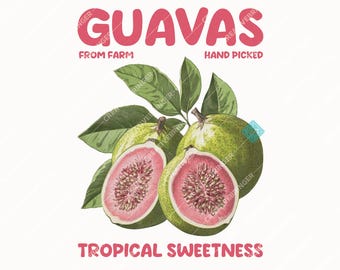 Guava png, Vintage Guava png, Färsk Guava png.
