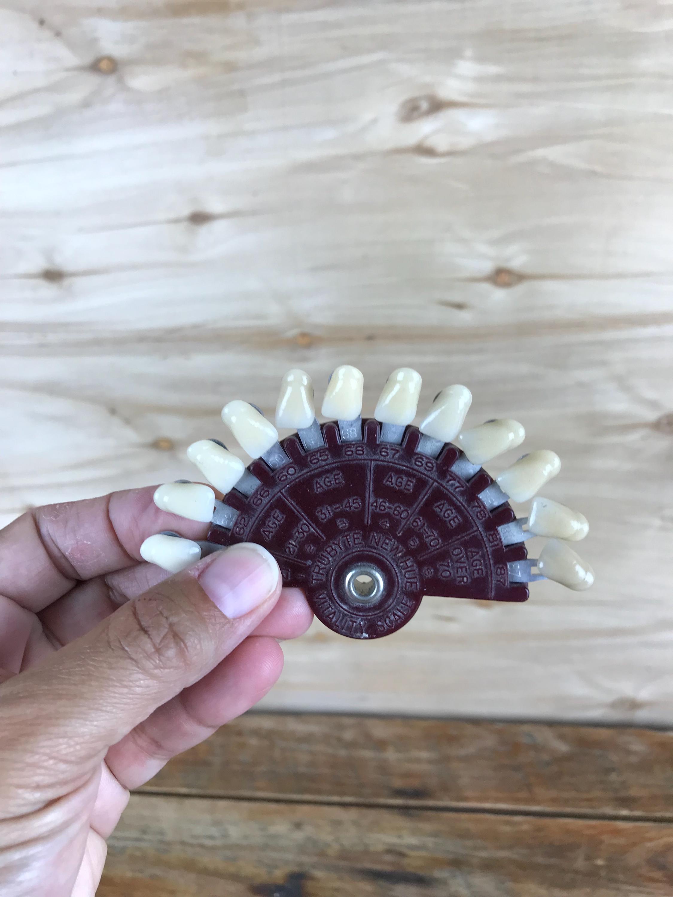 Vtg Trubyte Bioform Teeth Shade Guide for Dentist USA New Hue