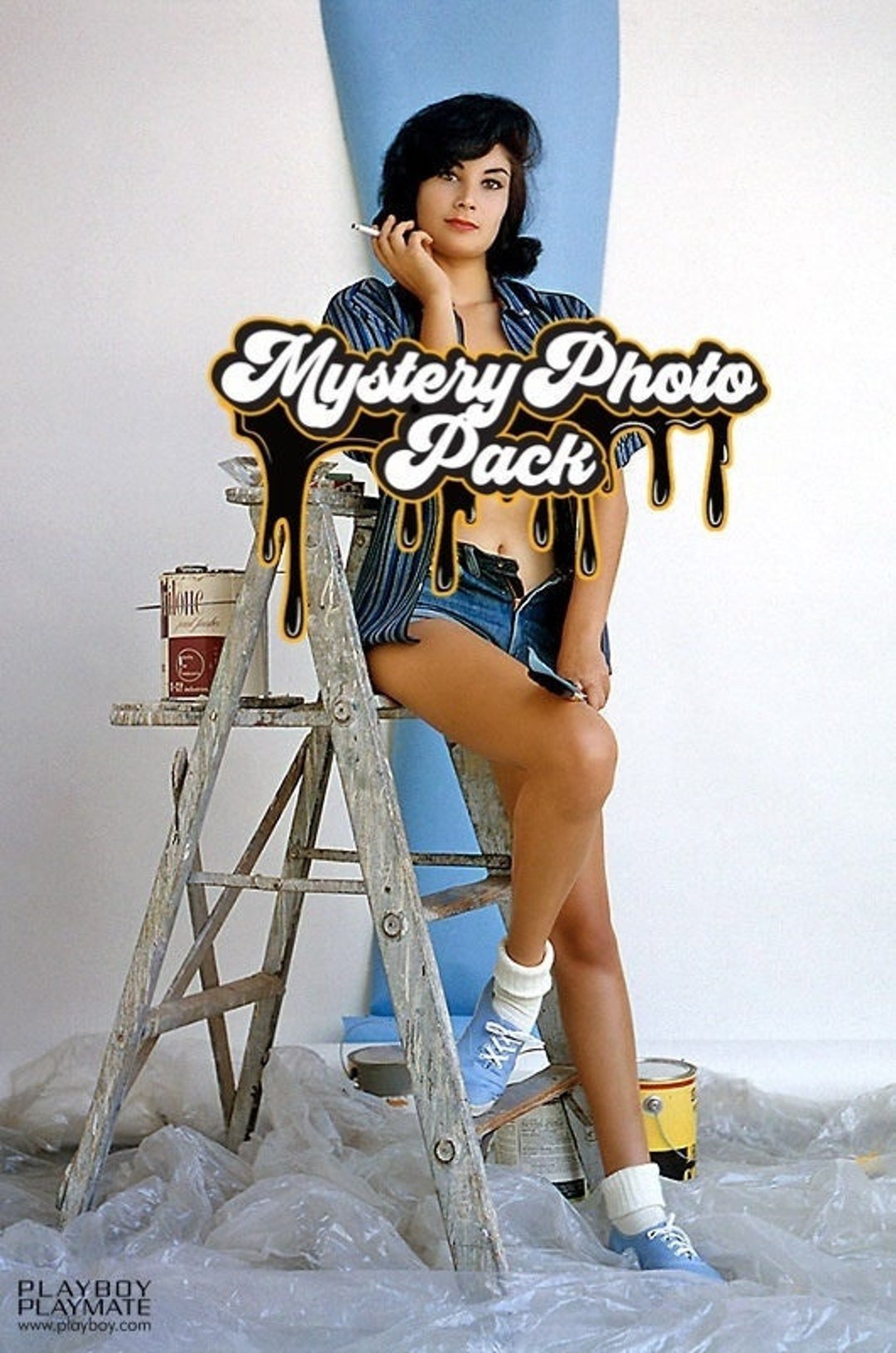 Avis Kimble November 1962 Playboy Playmate 10 Glossy 4x6 in Etsy