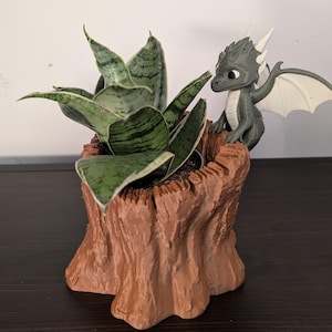 Op de afbeelding: Een kleine potplant met groen-grijze gestreepte bladeren staat in een bruine, boomstronk-vormige plantenbak. Een grijs drakenbeeldje met witte vleugels en hoorns zit op de rand van de plantenbak en voegt een grillige toets toe.