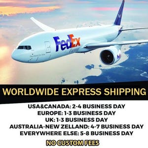 Puede incluir: Un avi&oacute;n de carga FedEx blanco volando en un cielo nublado. El avi&oacute;n muestra el logotipo de FedEx en azul y naranja. El texto "WORLDWIDE EXPRESS SHIPPING" est&aacute; en la parte inferior.