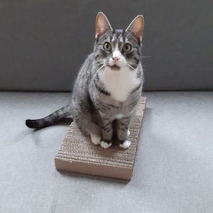 Scratching board for cats