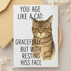 Tarjetas de felicitación con temática de gatos para amantes de los gatos, tarjetas de cumpleaños divertidas, tarjetas humorísticas para amigos, regalos para amantes de las mascotas, tarjetas para dueños de gatos