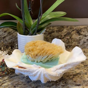 May include: A white seashell soap dish holds a light green bar of soap and a natural sponge. A decorative starfish and a jeweled crown are nearby. A potted orchid with pink and purple flowers is in the background.