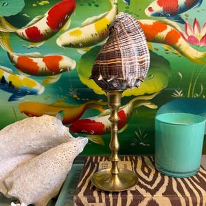 May include: A decorative seashell sits atop a brass candlestick, displayed on a stack of books with zebra print and turquoise covers. A light blue candle and a large white seashell are also present, with a backdrop of a painting of koi fish.