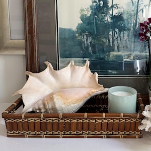 May include: A rectangular brown woven bamboo tray containing a large, smooth, cream-colored conch shell and a pale green cylindrical candle in a glass jar, positioned near a white coral piece and a framed landscape painting.