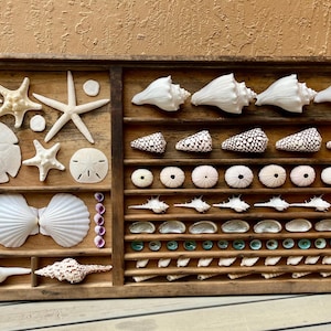 Key Largo Vintage Printers Tray Horizontal Seashell Collection Beach House Tiki Bar