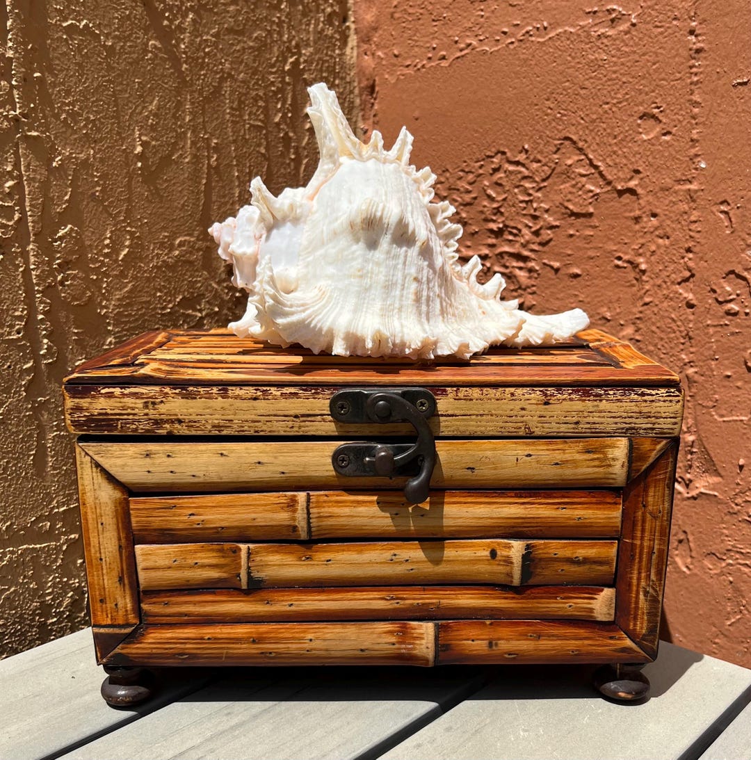 Ruffle Murex Seashell Embellished Bamboo Box Centerpiece Tropical ...