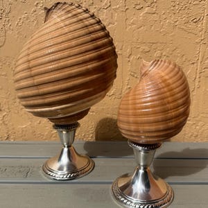 May include: Two decorative seashell sculptures. Each shell is a light brown color with a ribbed texture, mounted on a silver-colored pedestal base. The bases have a decorative beaded edge. The shells are displayed on a gray surface.