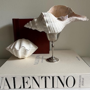 May include: Two white seashells, one a large conch shell and the other a clam shell, are displayed on a white book with the word "VALENTINO" printed on the cover. A silver goblet sits on the book, with the word "HANK" engraved on the side.