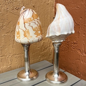 May include: Two decorative seashell candle holders with silver bases. The seashells are different shapes and sizes, one is brown and white with a swirling pattern, the other is white with a smooth texture.