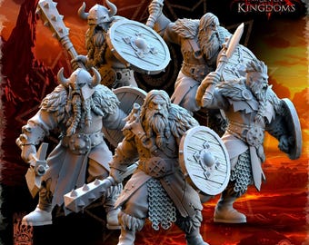 Realms of Mayhem Northern Reavers - in 12k- by The Beholder Miniatures
