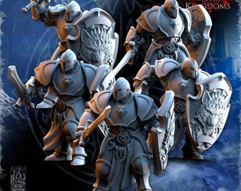 Puede incluir: Un conjunto de figuras en miniatura de caballeros blindados en tonos grises. Cada figura está equipada con una espada y un escudo, algunos con un emblema de lobo. Las figuras están posadas en varias posturas de acción, sugiriendo un tema de fantasía o juego de mesa.