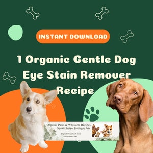 May include: Digital download for an organic dog eye stain remover recipe. The recipe is for happy pets and is available for instant download. The image features two dogs, a corgi and a vizsla, with a green and orange background.