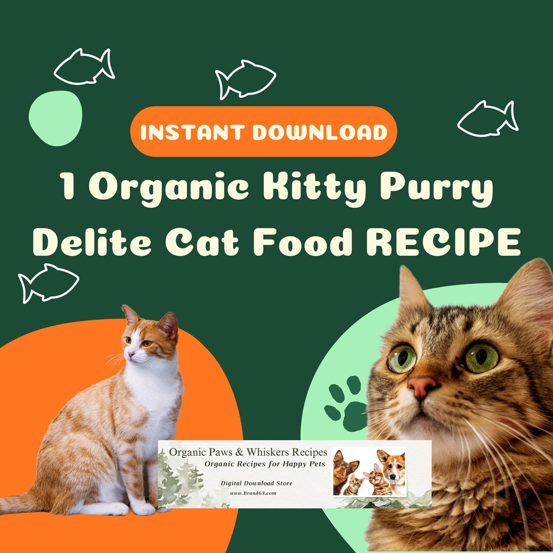Organic Cat Treats and Food Recipe Holiday Cat Treats Etsy