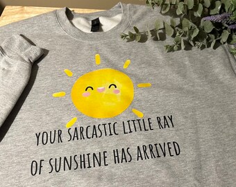 May include: Gray sweatshirt with a yellow sun graphic and the text "Your sarcastic little ray of sunshine has arrived".