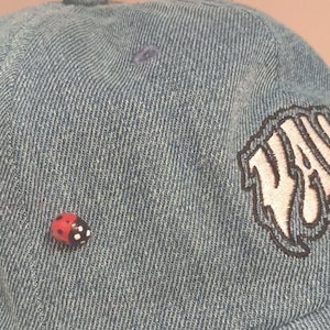 Ladybug Pins