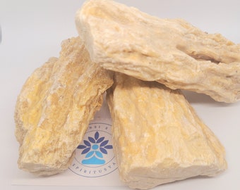 Sal Tree (Shorea Robusta) Sakhua resin