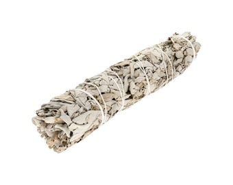 White Sage - Salvia Apiana to burn XXL 23 cm
