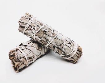 White Sage Apiana to burn - 10 cm
