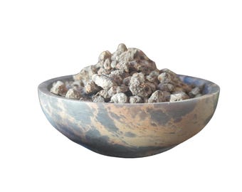 Incense in grains Sumatran Benzoin (Styrax benzoin) resin