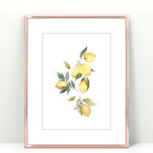 Zitronen Wandkunst | Zitrone Obst Druck | Zitrus Illustration | Poster für die Küche Gelb | Poster mit Pflanzenmotiv TynkaPrints | Digitaler Download