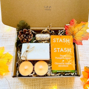 Fall Themed Gift Set Fall Gifts For Her Fall Vibe Gift Box for Women College Care Package Tea Gift Sampler Pumpkin Lover Gift Set Cozy Gift